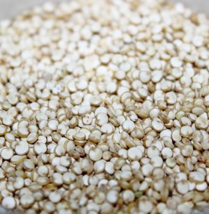 Quinoa protein