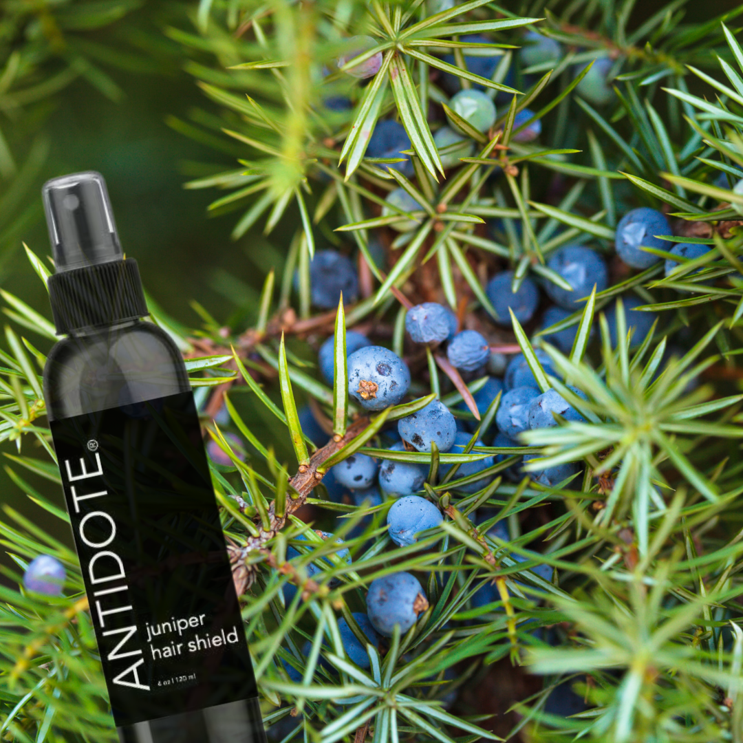 A Timeless Remedy for Hair and Health- Juniper Berries